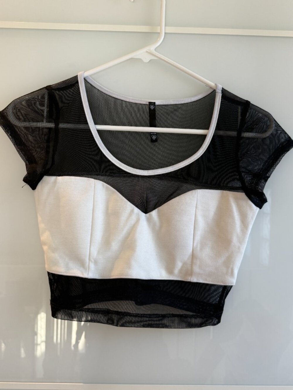 Sexy Mesh Crop Top